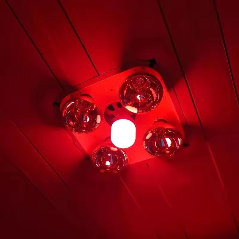 Solar Lamp - New High Power Red LED Light