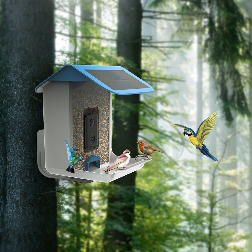 STLFNew Trend Smart Bird Feede - đánh giá và giá Solar Panel