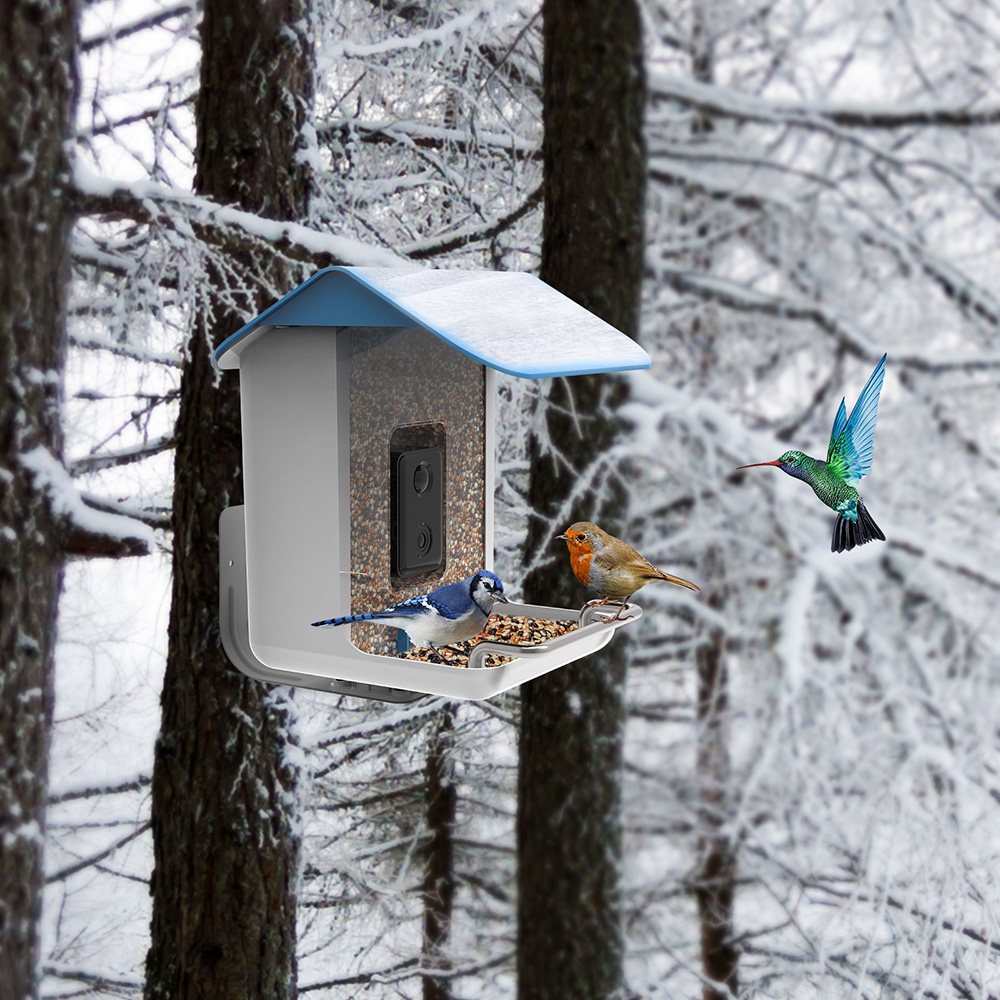 STLFNew Trend Smart Bird Feede - đánh giá và giá Solar Panel