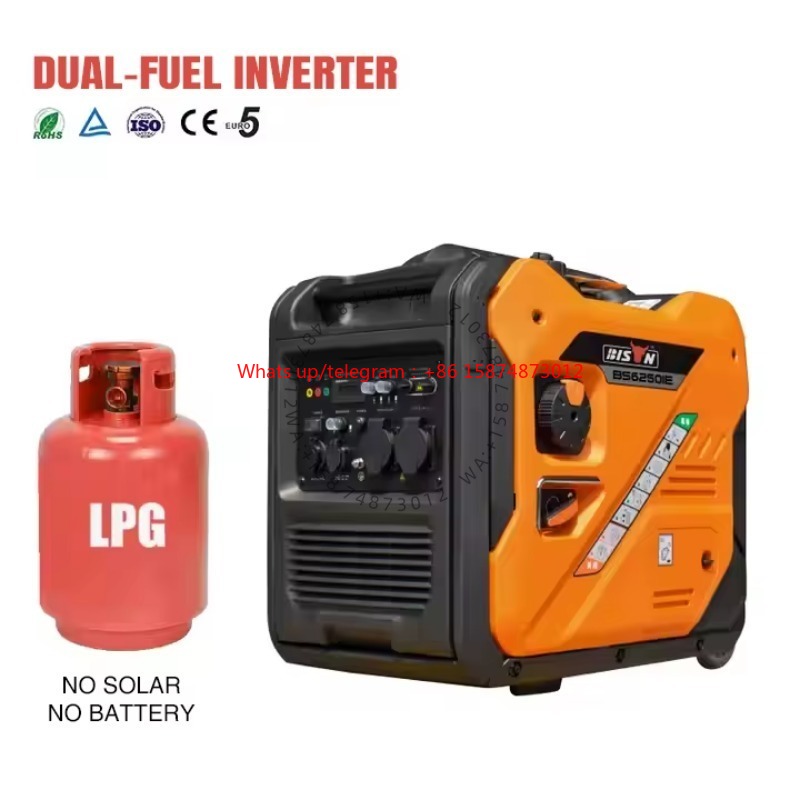 Dual Fuel 5000W 5kw 6.5kva Por - đánh giá và giá Power Inverter