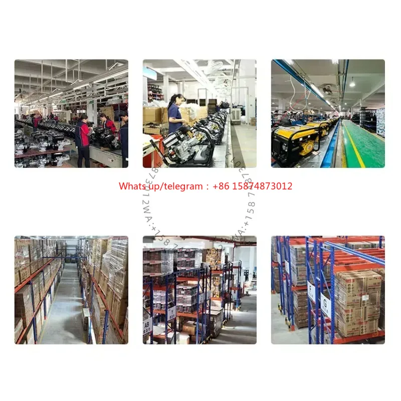 Dual Fuel 5000W 5kw 6.5kva Por - đánh giá và giá Power Inverter